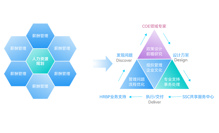 人才培育与管理体系